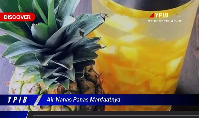 Temukan 7 Manfaat Air Nanas Hangat yang Jarang Diketahui