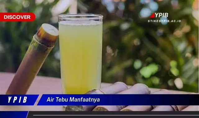 air tebu manfaatnya