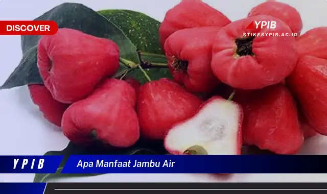 apa manfaat jambu air