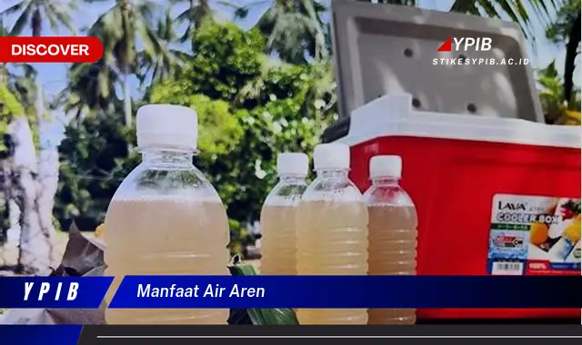 manfaat air aren
