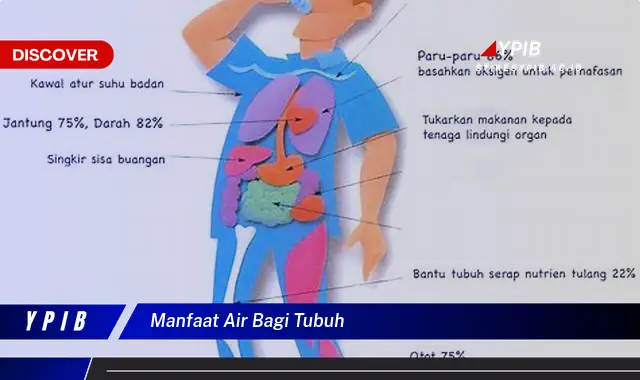 manfaat air bagi tubuh