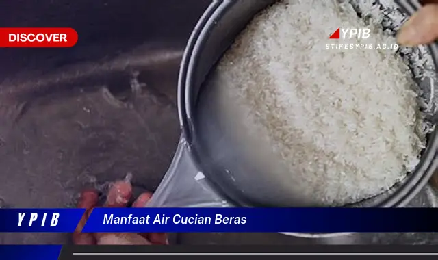 manfaat air cucian beras