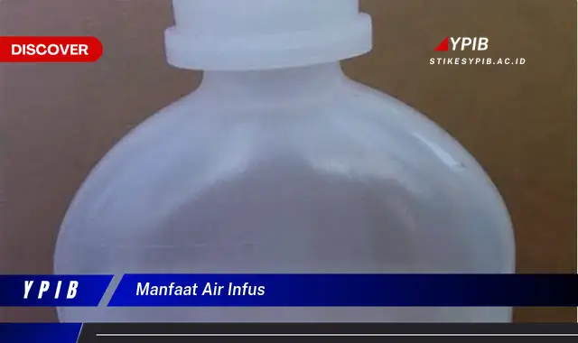 manfaat air infus