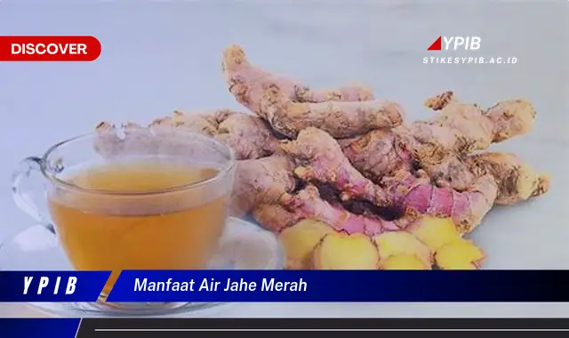 manfaat air jahe merah