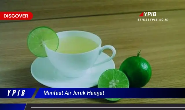 manfaat air jeruk hangat