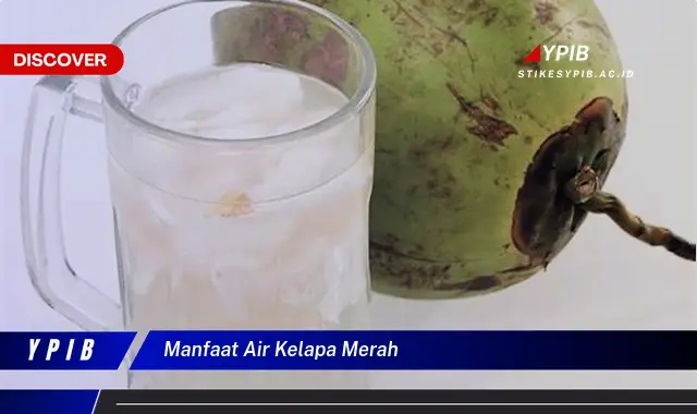 manfaat air kelapa merah