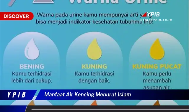 manfaat air kencing menurut islam