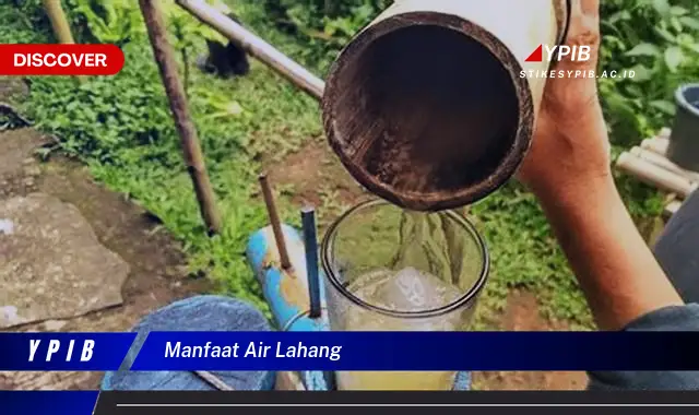 manfaat air lahang