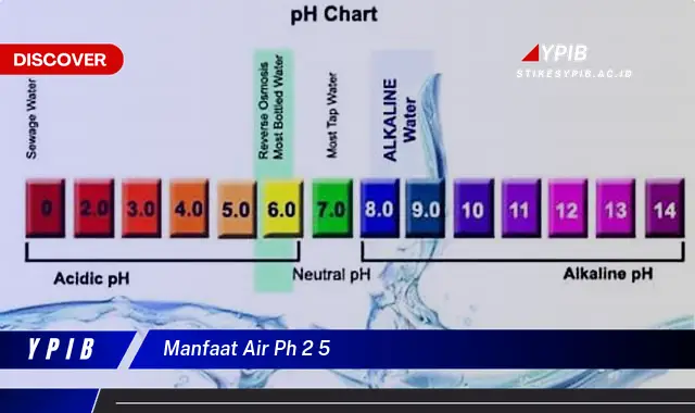 manfaat air ph 2 5