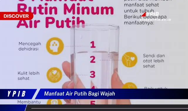 manfaat air putih bagi wajah