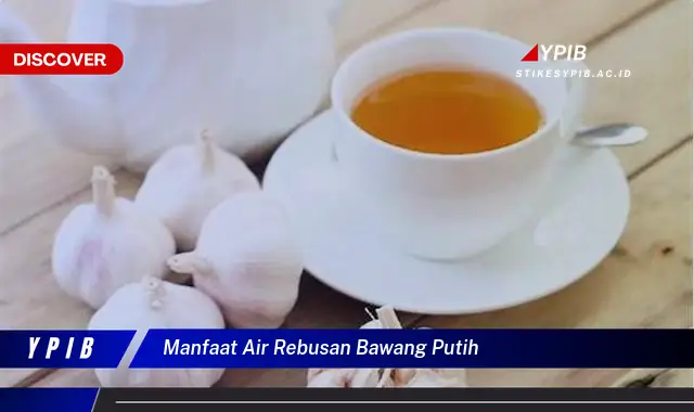 manfaat air rebusan bawang putih