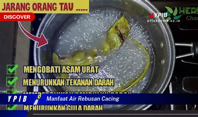 manfaat air rebusan cacing