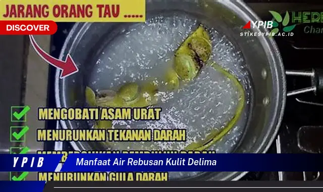 manfaat air rebusan kulit delima