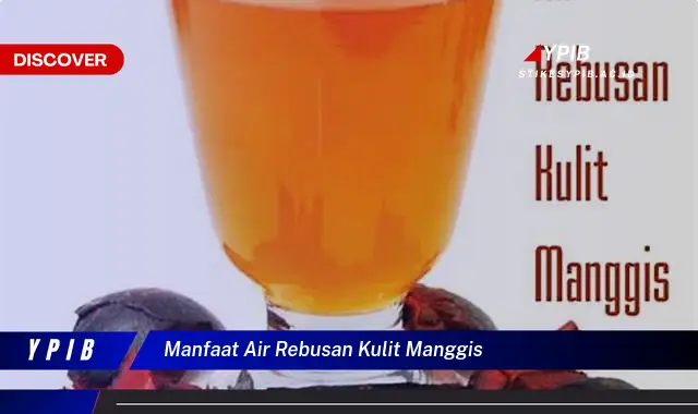 manfaat air rebusan kulit manggis