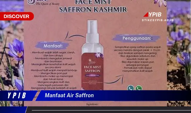 manfaat air saffron