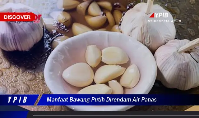 manfaat bawang putih direndam air panas