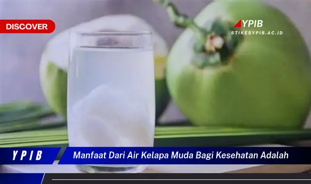 manfaat dari air kelapa muda bagi kesehatan adalah