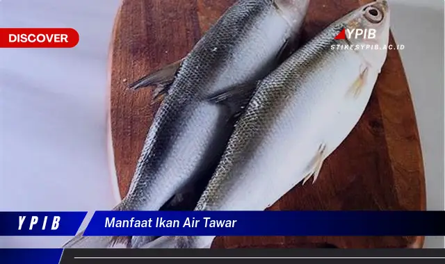 manfaat ikan air tawar