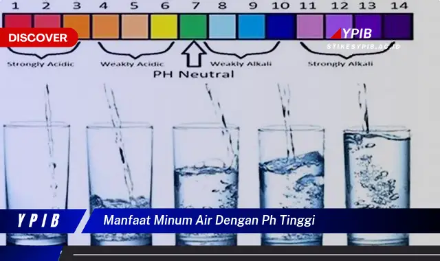 manfaat minum air dengan ph tinggi