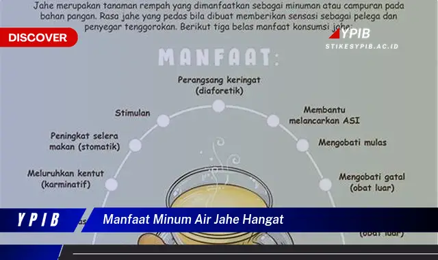 manfaat minum air jahe hangat