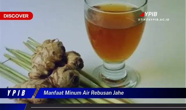 manfaat minum air rebusan jahe