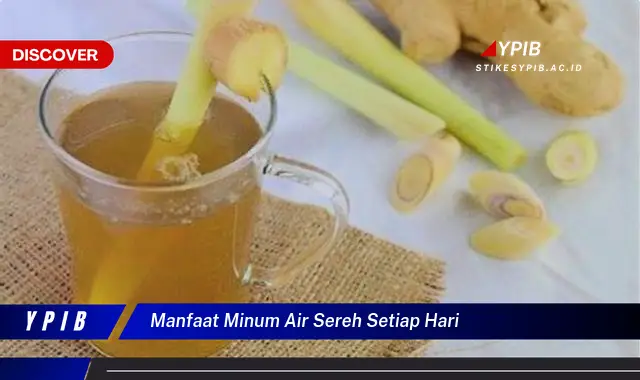 manfaat minum air sereh setiap hari