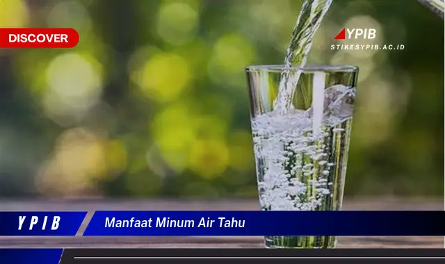 manfaat minum air tahu