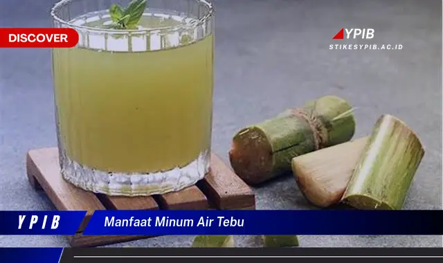 manfaat minum air tebu