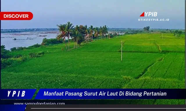 Ketahui 9 Manfaat Pasang Surut Air Laut di Bidang Pertanian yang Jarang Diketahui