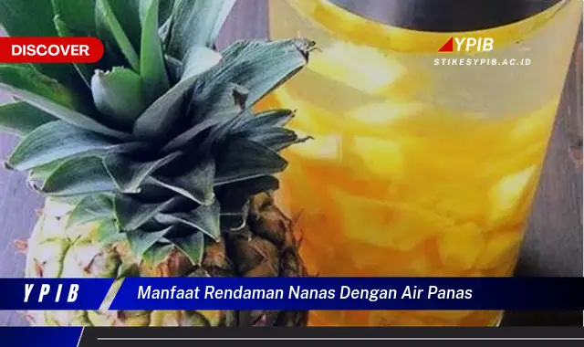 manfaat rendaman nanas dengan air panas