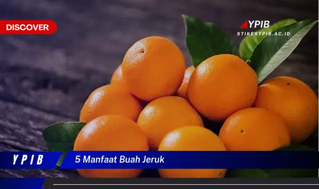 5 manfaat buah jeruk