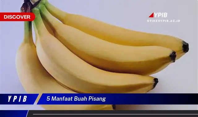 5 manfaat buah pisang