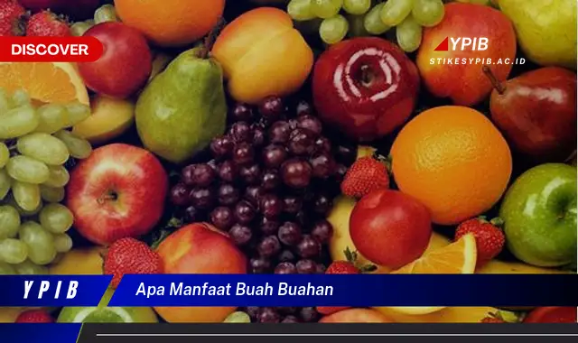 apa manfaat buah buahan