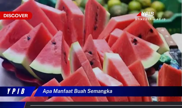 apa manfaat buah semangka