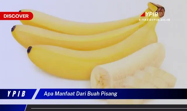 apa manfaat dari buah pisang