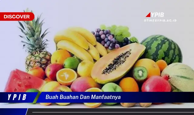 buah buahan dan manfaatnya