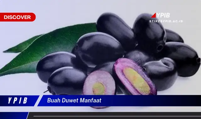 buah duwet manfaat