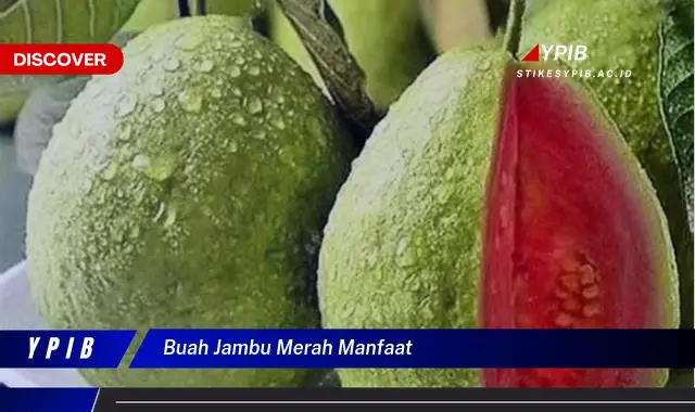 buah jambu merah manfaat