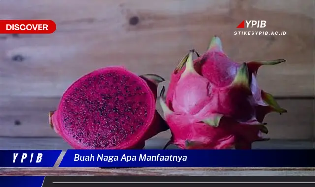 buah naga apa manfaatnya