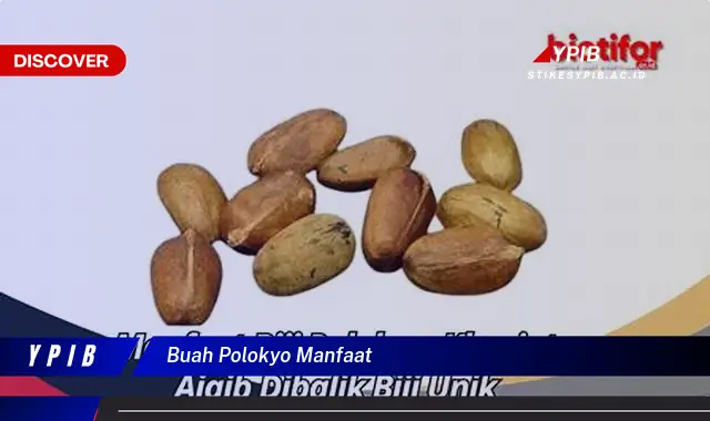 buah polokyo manfaat