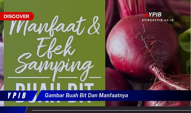 gambar buah bit dan manfaatnya