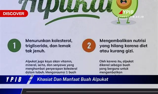 khasiat dan manfaat buah alpukat