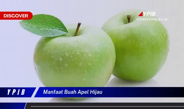 manfaat buah apel hijau