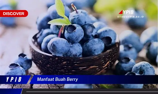 manfaat buah berry