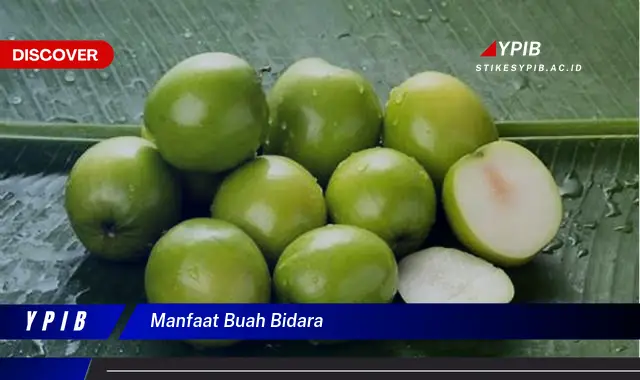 manfaat buah bidara