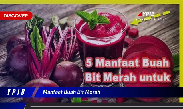 manfaat buah bit merah