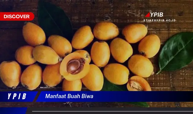 manfaat buah biwa