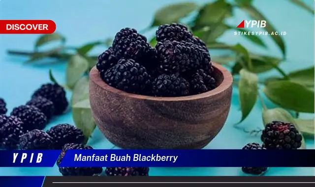 manfaat buah blackberry