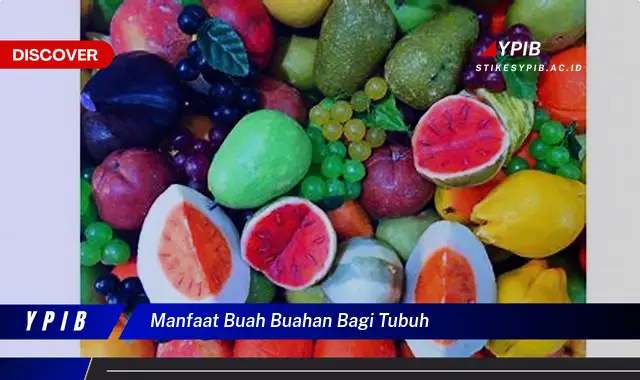 manfaat buah buahan bagi tubuh