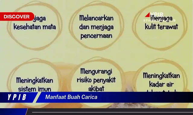 manfaat buah carica